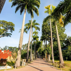 BioParque do Rio