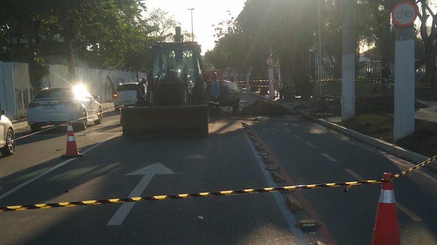 Divulgação/Nittrans