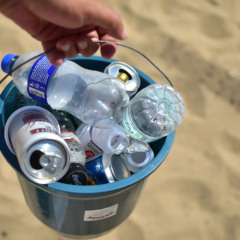 Clean Up Day