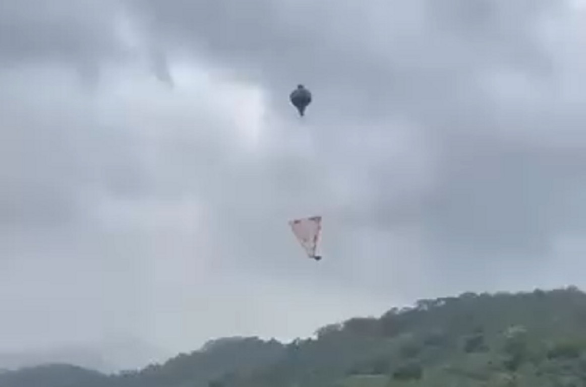 Reprodução Reprodução