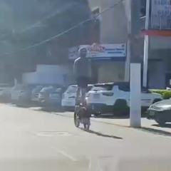 Reprodução