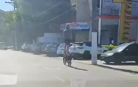Reprodução