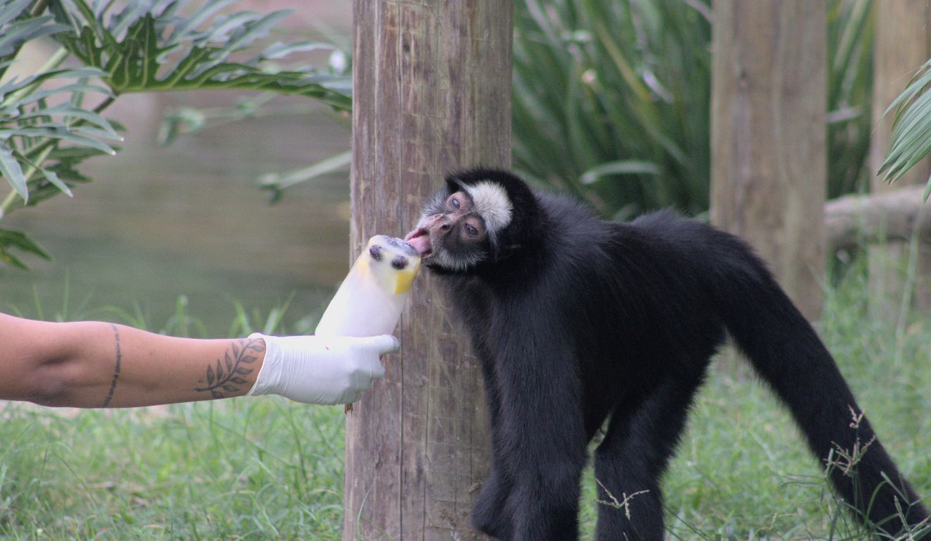 BioParque do Rio 9
