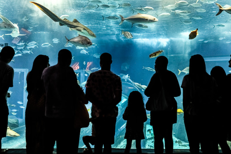 AquaRio