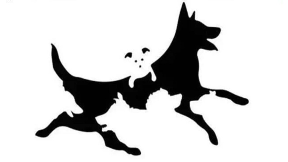 Quantos cães você vê na imagem? Teste rápido revela a sua idade mental