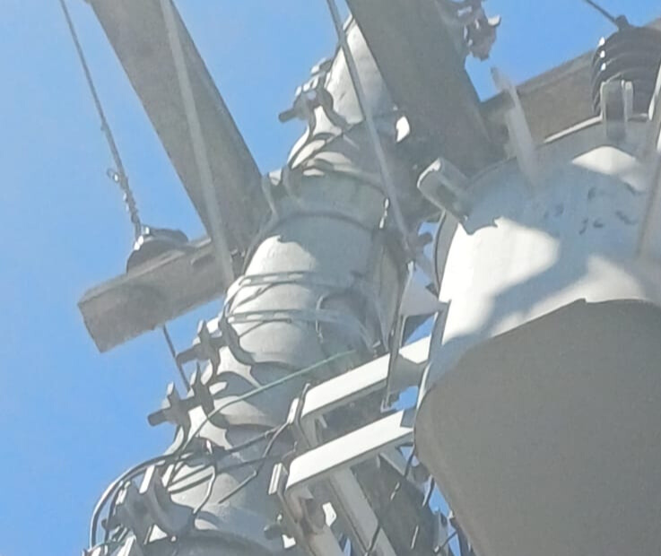 ENEL RIO REMOVE ‘GATOS’