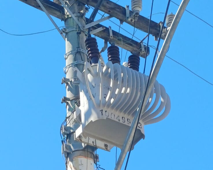 ENEL RIO REMOVE ‘GATOS’