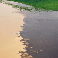 O Encontro das Águas é um dos fenômenos naturais mais marcantes do Amazonas e chama atenção de visitantes do mundo inteiro em Manaus