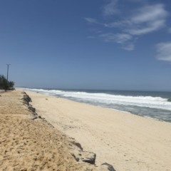 Praia da Barra