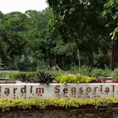 Jardim Botânico do Rio