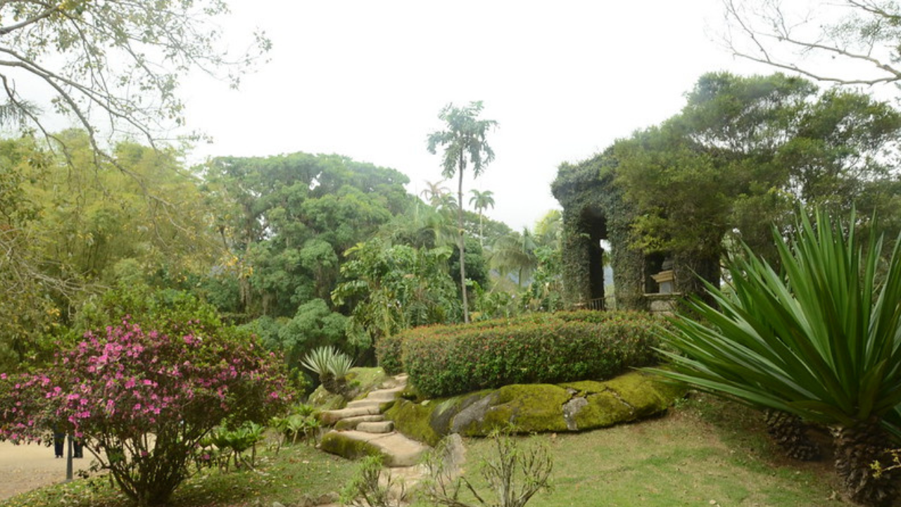 Jardim Botânico do Rio
