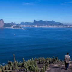 Área de Proteção Ambiental do Morro do Morcego representa um importante elo entre o patrimônio histórico, a conservação da natureza e a identidade de Niterói