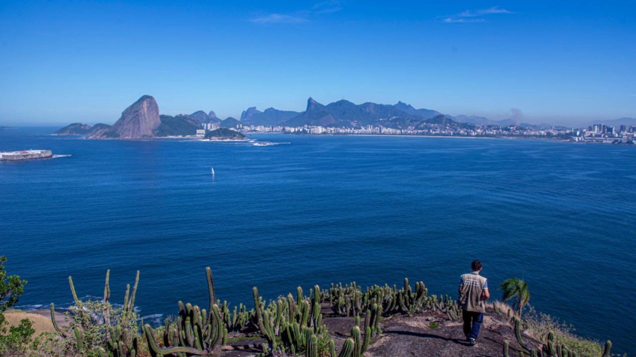Área de Proteção Ambiental do Morro do Morcego representa um importante elo entre o patrimônio histórico, a conservação da natureza e a identidade de Niterói