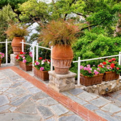 Como criar um jardim dos sonhos ao estilo mediterrâneo no Brasil