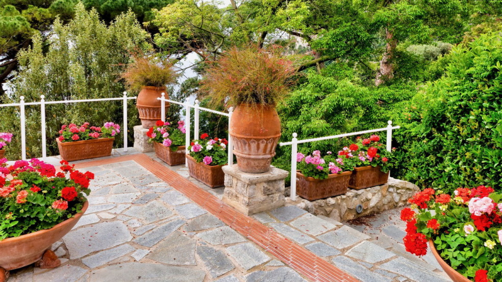 Como criar um jardim dos sonhos ao estilo mediterrâneo no Brasil
