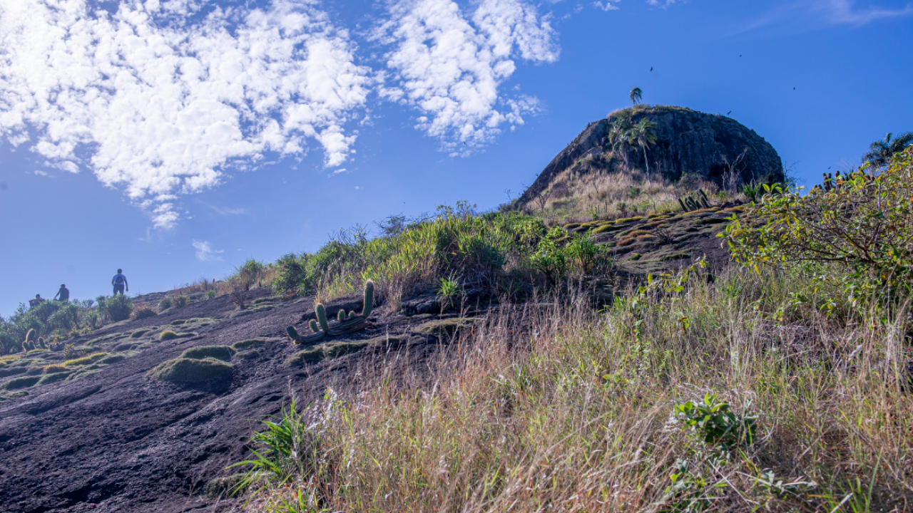 Área de Proteção Ambiental do Morro do Morcego representa um importante elo entre o patrimônio histórico, a conservação da natureza e a identidade de Niterói