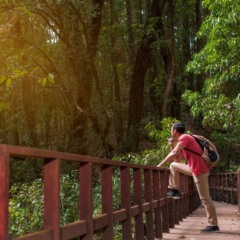 Você já explorou as cavernas do Parque Estadual Turístico do Alto Ribeira em Iporanga