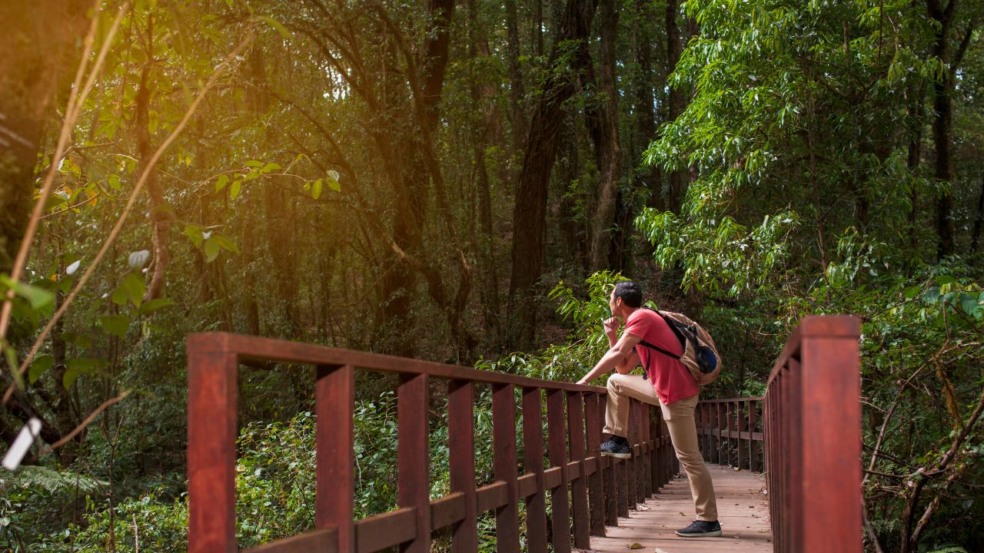 Você já explorou as cavernas do Parque Estadual Turístico do Alto Ribeira em Iporanga