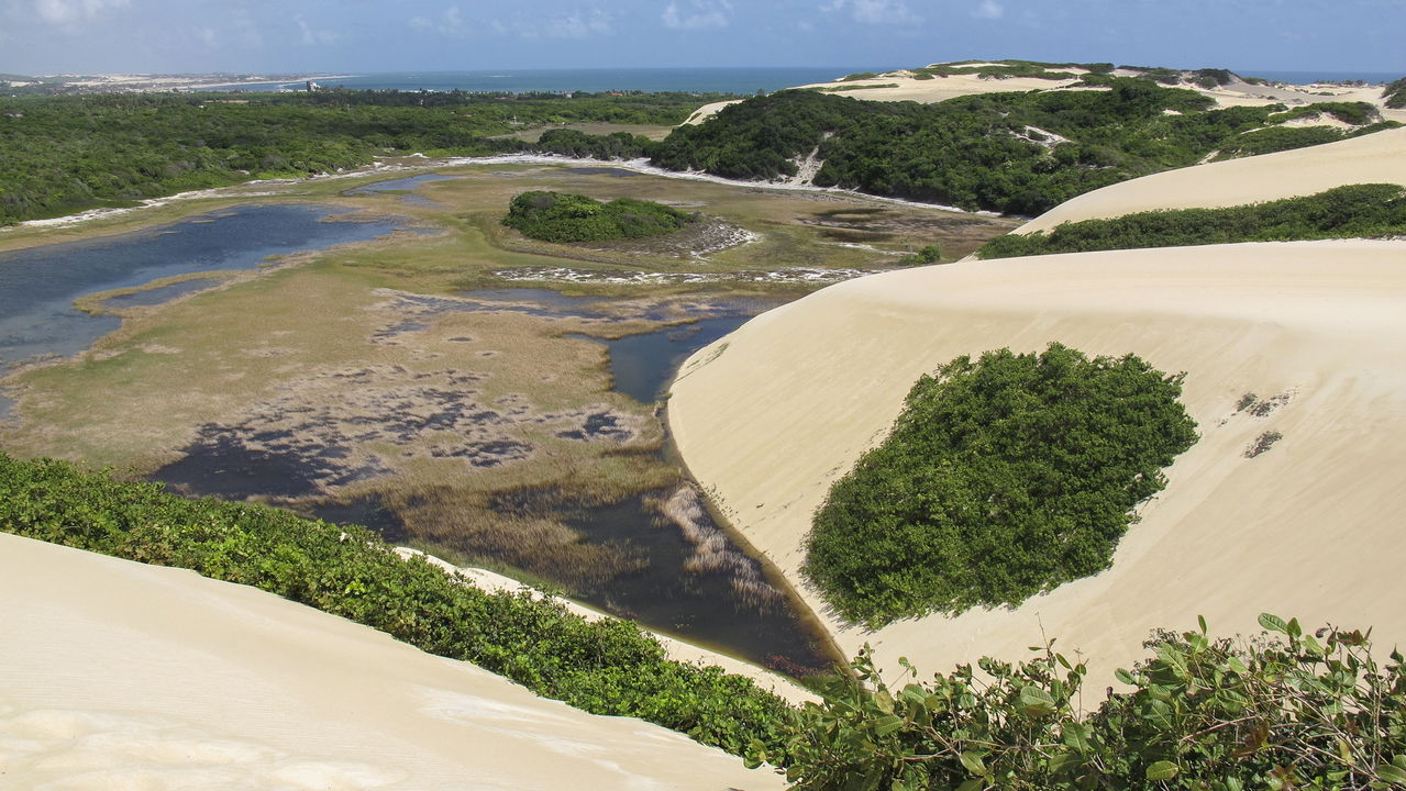 O Parque das Dunas em Natal, localizado no coração do Rio Grande do Norte, oferece aos visitantes a chance de vivenciar caminhadas em meio a ecossistemas preservados e cenários impressionantes de dunas