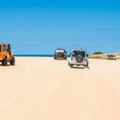 O Parque das Dunas em Natal, localizado no coração do Rio Grande do Norte, oferece aos visitantes a chance de vivenciar caminhadas em meio a ecossistemas preservados e cenários impressionantes de dunas