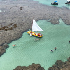 Porto de Galinhas, localizado no coração do litoral sul de Pernambuco, atrai turistas de todo o Brasil pela beleza singular de suas praias