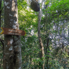 Explorar roteiros ao ar livre em Niterói garante experiências marcantes para grupos de todas as idades