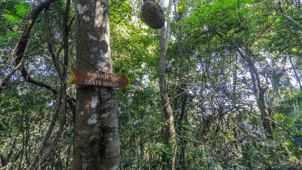 Explorar roteiros ao ar livre em Niterói garante experiências marcantes para grupos de todas as idades