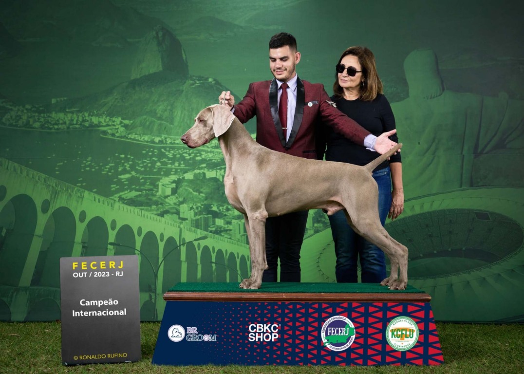 Exposição de Cães de Raça