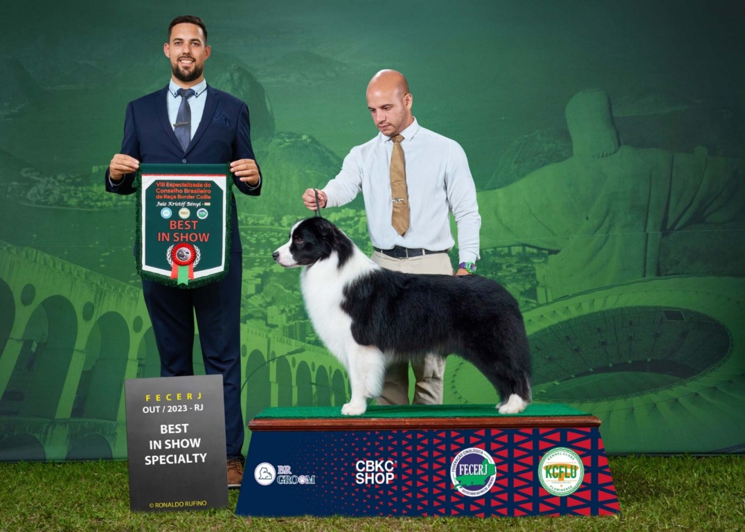 Exposição de Cães de Raça