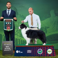Exposição de Cães de Raça
