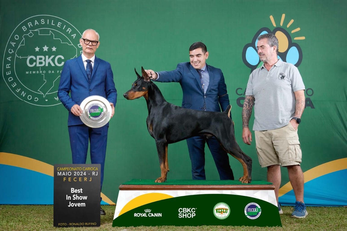 Exposição de Cães de Raça