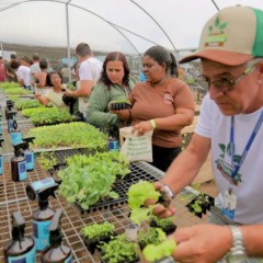Agricultura Social