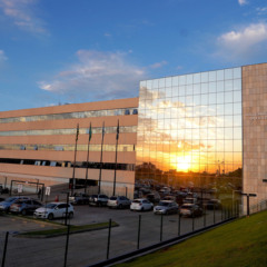 Assembleia Legislativa de Goiás (Alego)