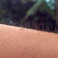 Sentir arrepios sem motivo aparente é uma experiência comum, mas ainda desperta dúvidas