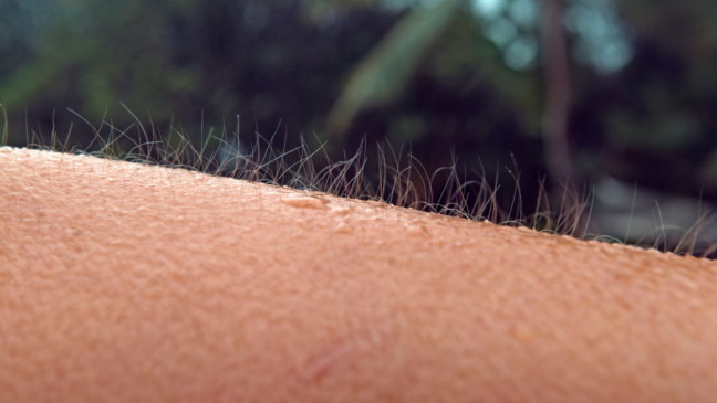 Sentir arrepios sem motivo aparente é uma experiência comum, mas ainda desperta dúvidas