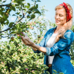 Saiba como ter um pomar com frutas frescas na sua própria casa