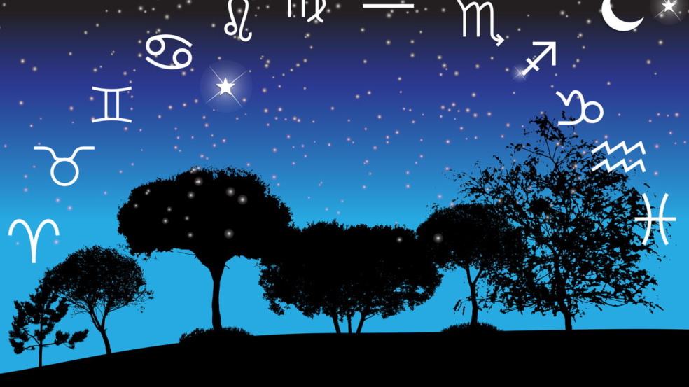 Astrologia no jardim revela como signos influenciam no cultivo