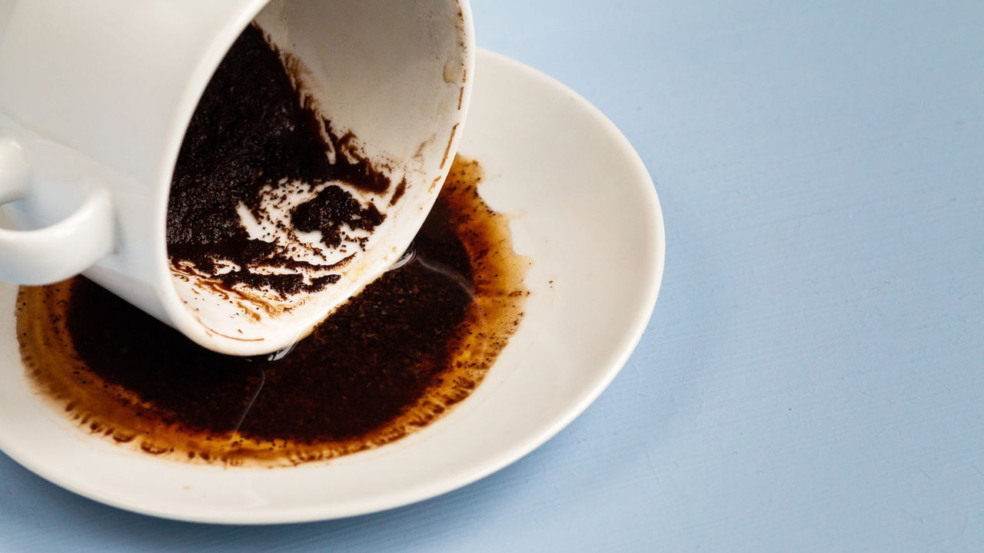 Borra de café deixa de ser lixo e se torna algo inovador e sustentável