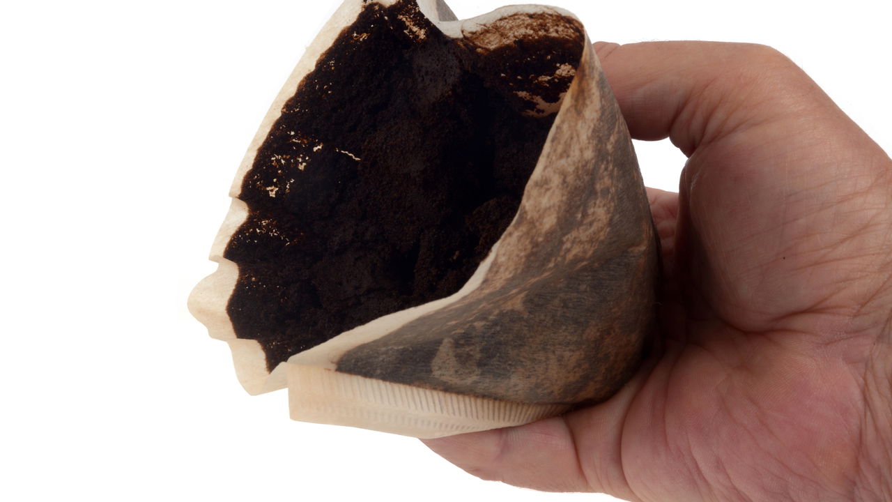 Borra de café deixa de ser lixo e se torna algo inovador e sustentável