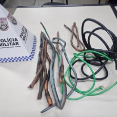 Divulgação/PMERJ