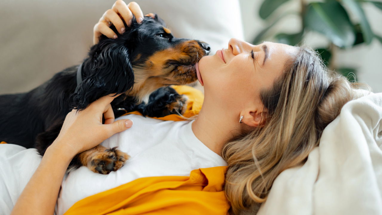 5 filmes emocionantes para os pais de pet assistirem com seus cães