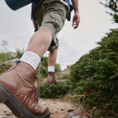 Trilha feita no Parque Estadual da Serra da Tiririca proporciona contato direto com a Mata Atlântica, paisagens marcantes e experiência educativa sobre preservação ambiental