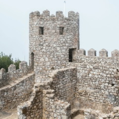 Como era a vida em um castelo medieval?