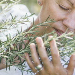 Áries e Sagitário vibram ao cultivar alecrim em casa, integrando práticas de astrologia à rotina e melhorando o bem-estar pessoal