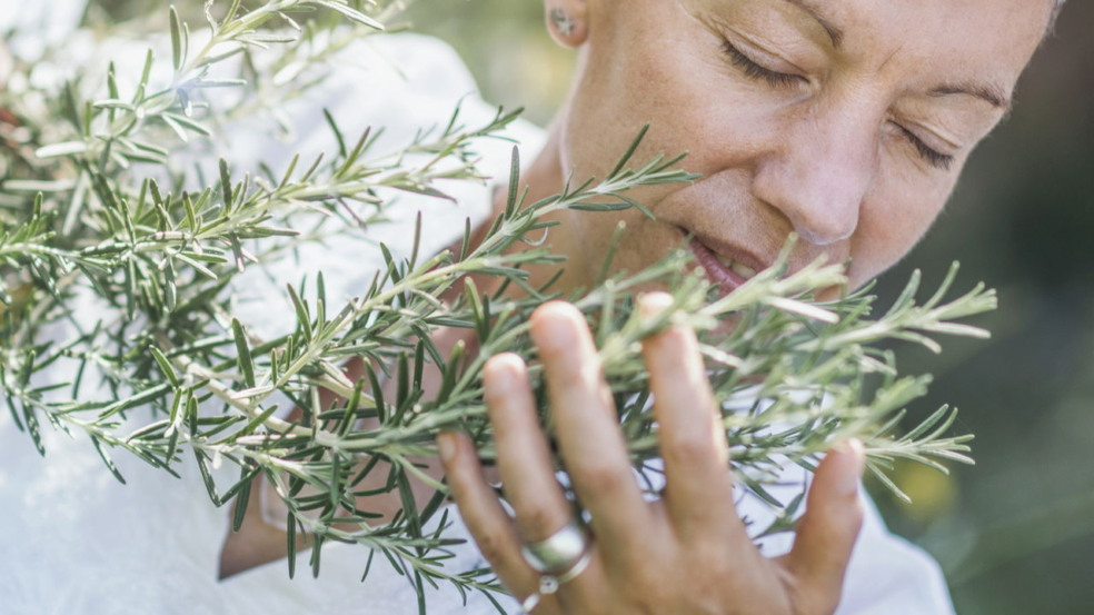 Áries e Sagitário vibram ao cultivar alecrim em casa, integrando práticas de astrologia à rotina e melhorando o bem-estar pessoal Áries e Sagitário vibram ao cultivar alecrim em casa, integrando práticas de astrologia à rotina e melhorando o bem-estar pessoal