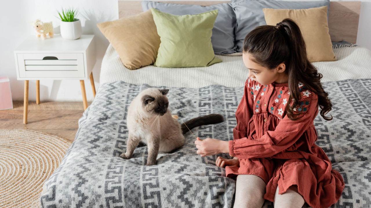 Como pets ajudam a melhorar sua saúde mental e emocional