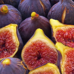 Figos podem causar queimaduras de segundo grau