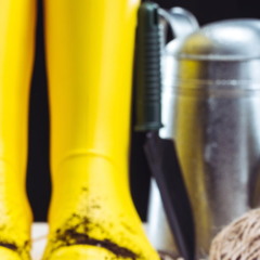 Gêmeos e Áries encontram alegria em plantar hortas caseiras, transformando o cultivo de ervas e verduras em uma experiência repleta de vitalidade e criatividade