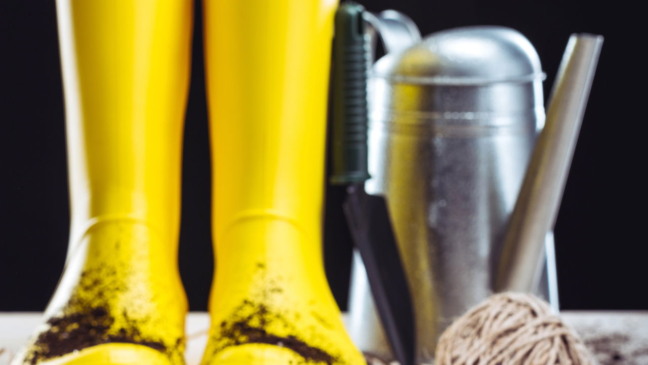 Gêmeos e Áries encontram alegria em plantar hortas caseiras, transformando o cultivo de ervas e verduras em uma experiência repleta de vitalidade e criatividade