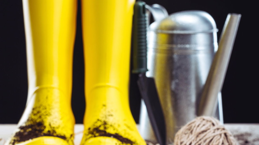 Gêmeos e Áries encontram alegria em plantar hortas caseiras, transformando o cultivo de ervas e verduras em uma experiência repleta de vitalidade e criatividade